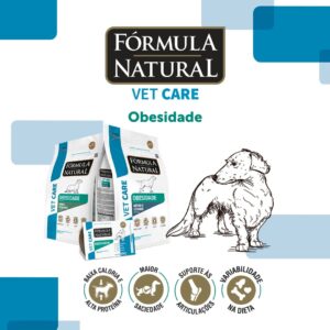 Obesidade