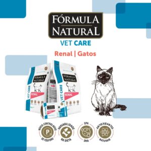 Renal Gatos